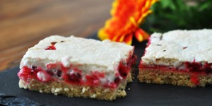 Beitragsbild des Blogbeitrags Ribisel-Schaumschnitte 
