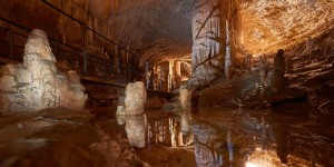 Beitragsbild des Blogbeitrags Slowenien: Die Höhlen von Postojna