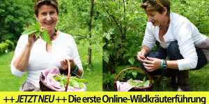 Beitragsbild des Blogbeitrags Online-Wildkräuterführung – Nutze die Kraft 20 einfacher, essbarer Wildkräuter für Grüne Smoothies! 
