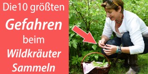 Beitragsbild des Blogbeitrags Die 10 größten Gefahren beim Wildkräuter-Sammeln!