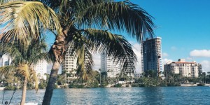 Beitragsbild des Blogbeitrags Florida: Christmas Under Palmtrees 