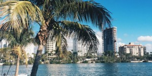 Beitragsbild des Blogbeitrags Florida: Christmas Under Palmtrees