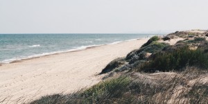 Beitragsbild des Blogbeitrags Beach Please 