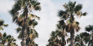 Beitragsbild des Blogbeitrags 10 things to do in Valencia 