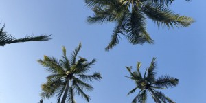 Beitragsbild des Blogbeitrags My Travel Bucket List