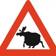 Profilbild von User synetic