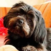 Profilbild von User manuelas_testwelt