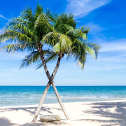 Profilbild von User Reiseblogger