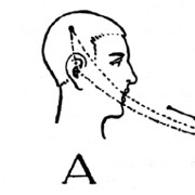 Profilbild von User semiosis
